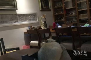 杭州杭州隱泉居度假民宿 原晶晶的小窩精品客棧