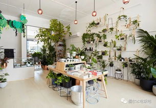 秒殺宜家 墨爾本這10家神仙級小眾獨立家居好店,讓你的小窩逼格瞬間暴漲100點