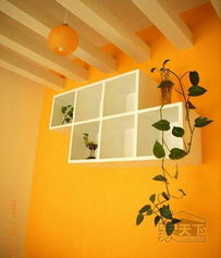 小女人的果色浪漫 4萬打造43平麻雀小屋