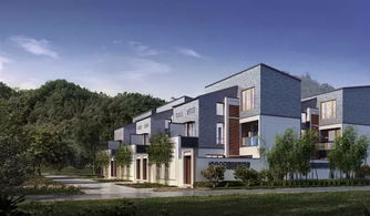 五開五罄 廣州萬科這個盤9999元 平起,雙11還送n重禮