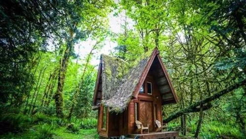 獨一無二的森林小屋 他從22歲開始手工打造