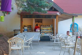 不用出北京,就可以去最美的私家森林度假小屋,堪比歐洲小鎮