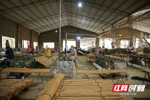 組圖丨小竹子撬動大產(chǎn)業(yè)