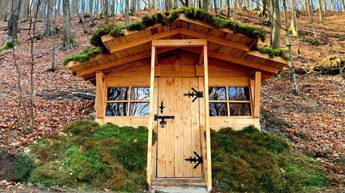 帶上我的狗進入樹林,用盡了畢生所學,建造出一套極致小屋居住