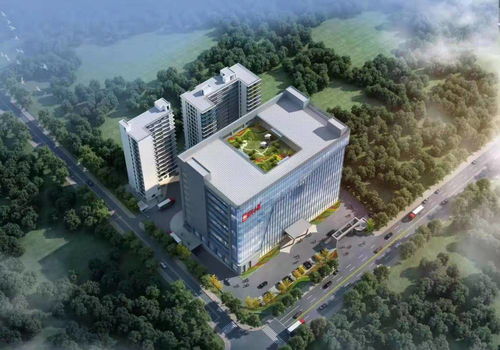 10個重大項(xiàng)目集中開工 松山湖全力沖刺 開門紅