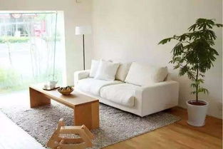 被央視點名的muji又來搞事情 9㎡木屋賣19萬要瘋