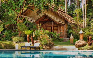 林中小屋 喧囂外的夢幻殿堂 組圖