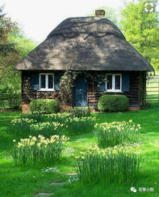 世界上最美花園,都幫你收集全了