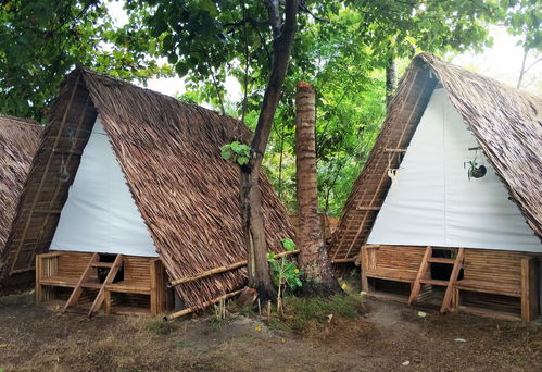 宿霧馬拉帕斯加島的1臥室小屋 16平方公尺 0間專用衛浴 neverland 線上訂房 agoda.com