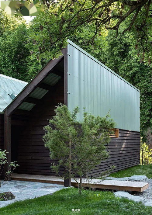 新西蘭全木結構現代版森林小屋 自然與設計的完美融合